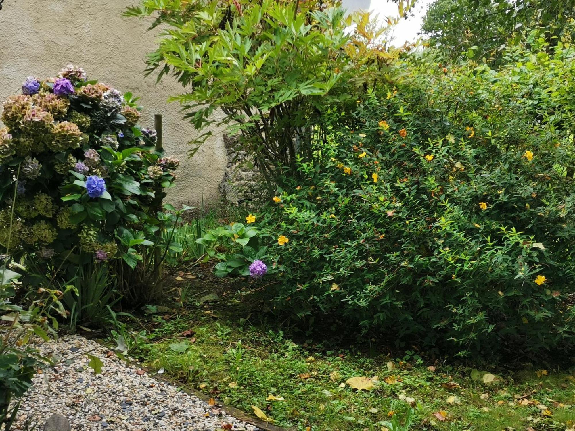 Les Brassins Du Dillon Βίλα Moyon Εξωτερικό φωτογραφία